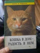 ����� ����� � ������� ��� ������ � ����� ����