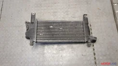 �������� ����������� Nissan Pathfinder 2004-2014 21215300 14461EB360 ����