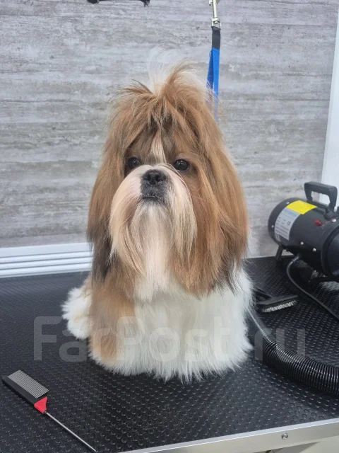 �������. ����