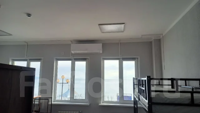 ��������� �������������. ����