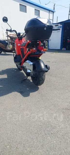 Honda Zoomer. 49����. ��., ��������, ���������, ��� ������� ����