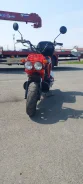 Honda Zoomer. 49����. ��., ��������, ���������, ��� ������� ����