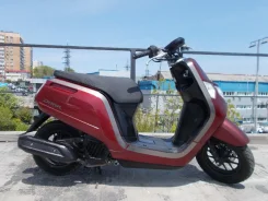 Honda Dunk AF74