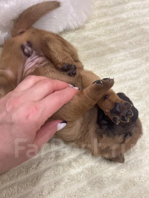 ������. ����