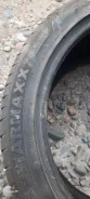 Starmaxx. ������, 2019 ���, �/�, ����� 25 % ����