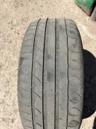 Tigar UHP. ������, 2019 ���, �/�, ����� 40 % ����