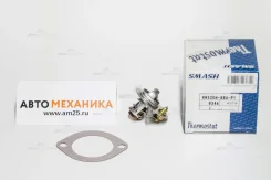 ��������� WW52EM-88A/ZW52EM-88 8AB1-15-171/. (P401) (Smash) WW52EM88A ����