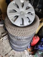 Bridgestone 613V. �����������, �/�, ����� 20 % ����