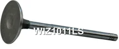 ������ �������� Focus, WIZ1011LS WIZ1011LS ����