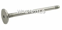 ������ ��������� Focus, WOZ1011LS WOZ1011LS ����