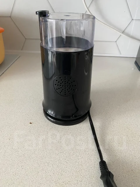 ���������. ����