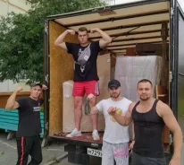 �������. ��� �����. �����������, ����� ������ 133� ����