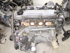��������� Toyota 2AZ-FE Camry Rav4 Alphard Vanguard 84�. �� 2011� ����