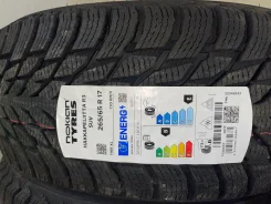 Nokian. ������, ��� �����, 2020 ���, ����� ����