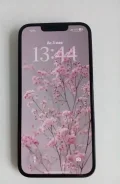 Apple iPhone 14. �/�, 256 ��, ������, 4G LTE, NFC, eSIM ����