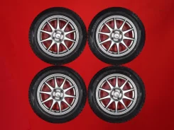 Abelia Sport