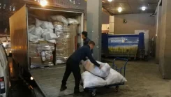 �������. ��� �����. ����� ���������� 131 ����