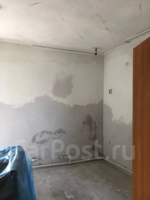 ������ ���������. ����