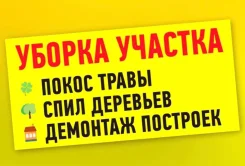 ������ ����������. ����
