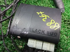 Black Bug