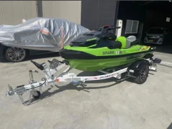 BRP Sea-Doo RXT. 2020 ��� ����
