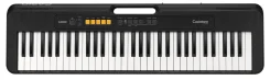 ����������, 61 ������� (��� �������� AD-E95100). Casio CT-S100 CASIOTONE ����