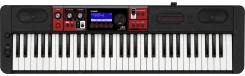 ����������, 61 �������. Casio CT-S1000V ����