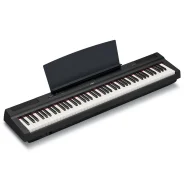 �������� ������� 88 ������, ������ ����, Yamaha P-125aB ����