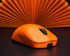 ���� �������. ����