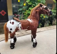 ����� � ��������. ����