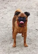 ����� ��� ���������. ��� ����� �� ���������� ����