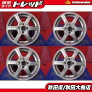 Bridgestone FEID