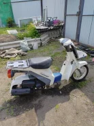 Suzuki Mollet. 50����. ��., ��������, ��� ���, ��� ������� ����