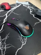 ���� �������. ����