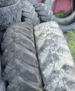 TyRex CRG VM-115. �����������, �/�, ����� 50 % ����