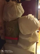 ����� ��������� ����
