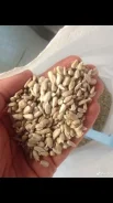 ������� ����������. ��� ����� �� �������� ����