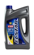 Suzuki Marine Ecstar