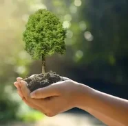 ��������� ������ ����� ������� � ������ ������� ���������� ����