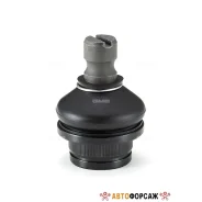 ������� ����� ������ �����/������ GMB 01020775 GMB 01020775 ����