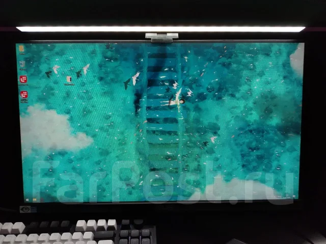 Asus. 23.8", ���������� �� (LCD, LED, QLED) ����
