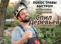 ����� ����� � ���� ��������, ������� ������, ������� �������� ����