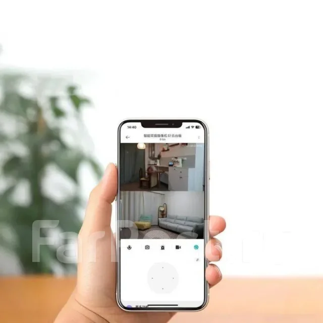 IP-������. ����