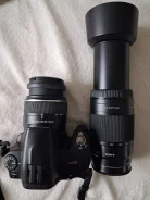 Sony Alpha DSLR-A290. 10 - 14.9 ��, ���: 14� � ����� ����