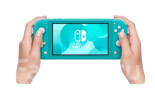 Nintendo Switch Lite. ��� ����� �� ���������� ����