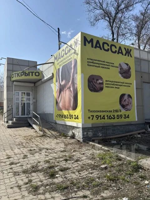 ������. ����