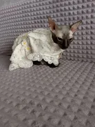������� ������. ����