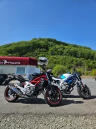 Suzuki SFV 400 Gladius. 400����. ��., ��������, ���������, ������ �� �� ����