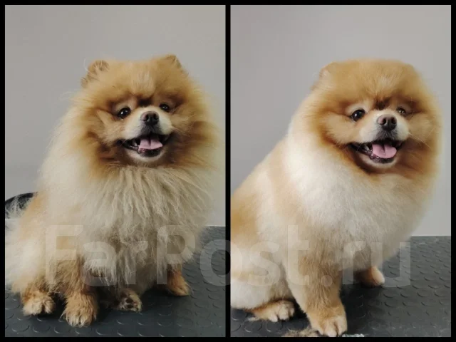 �������. ����