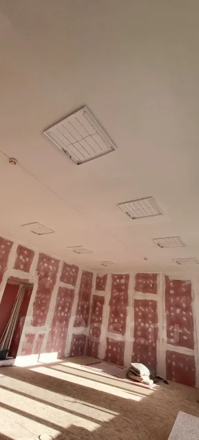 ���������. ����